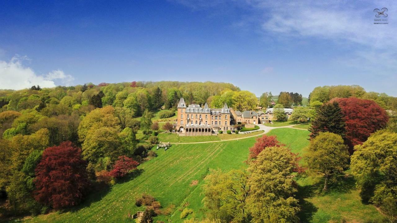 Domaine De Ronchinne - Insolites Maillen Dış mekan fotoğraf