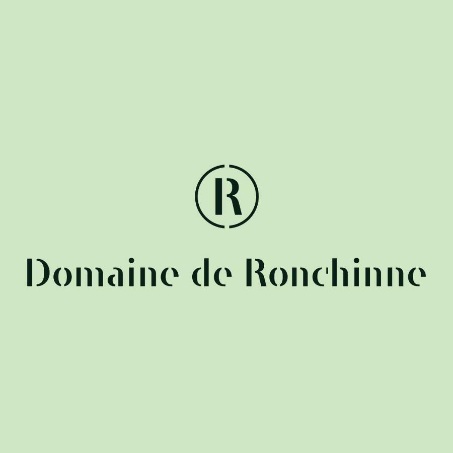 Domaine De Ronchinne - Insolites Maillen Dış mekan fotoğraf